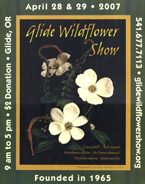2007 poster