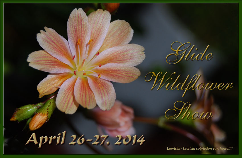2014 Glide Wildflower Show