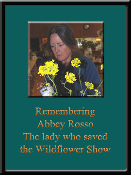 Abbey Rosso