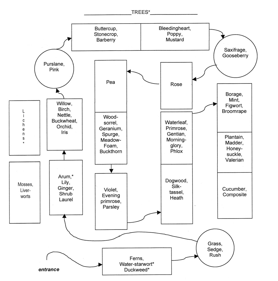 show display floor plan
