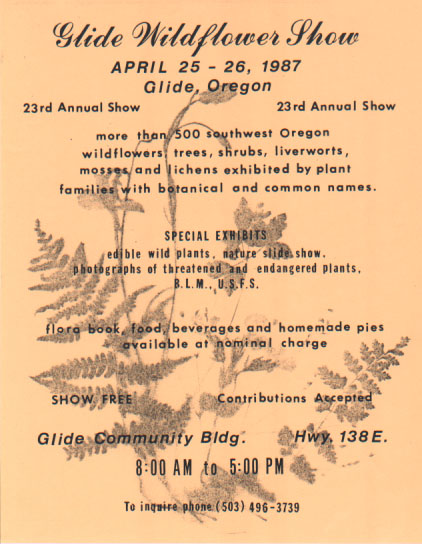 1987 poster