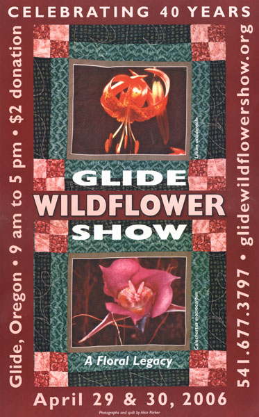 2006 poster