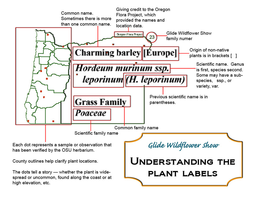 GWS show labels